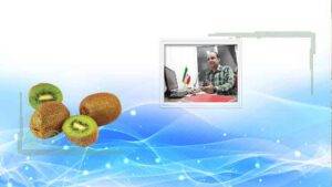 صادرات کیوی از مدیریت مناسبی برخوردار نیست